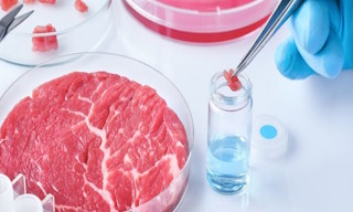 Лабораторный анализ пищевых продуктов по СанПиН в Йошкаре-Ола в октябре