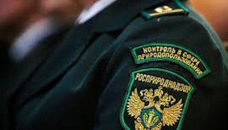Подготовка к проверке Росприроднадзора в Йошкаре-Ола от ПромМир, стоимость услуги от 20452 руб.